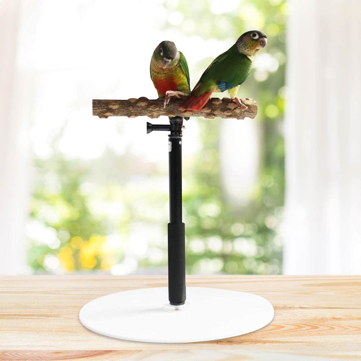 Papageien Sitzstange Holzständer, Bequemes Papageien-Desktop-Ständer, Papageienspielzeug, Einziehbar