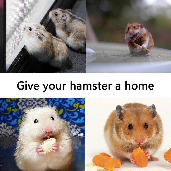 Hamster Haus Bett mit Aufhängeöse für Hamster, Chinchillas, Meerschweinchen & Kleintiere (Grün A), G