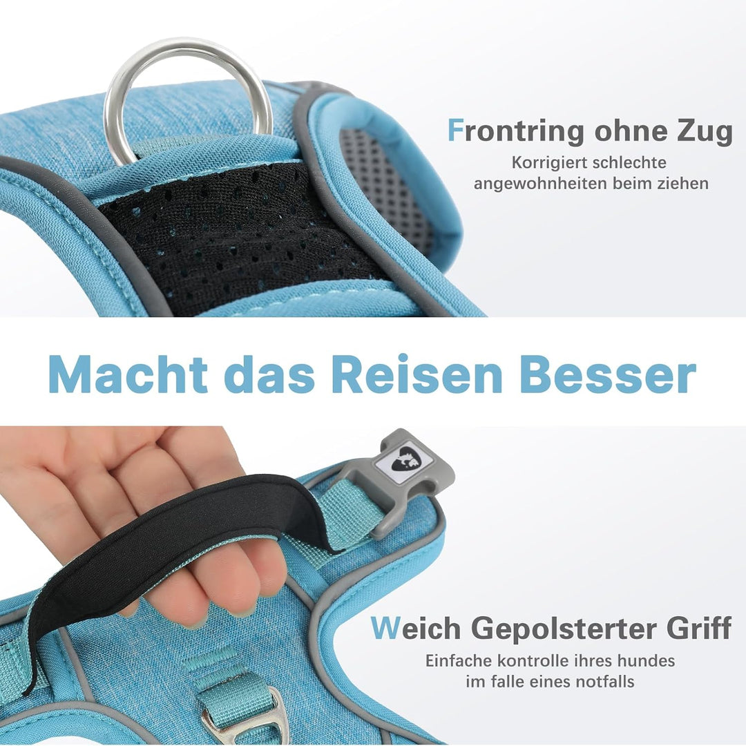 Demigreat Mittleres Hundegeschirr, Anti-Zug-Hundegeschirr mit Weich Gepolstertem Griff für das Train