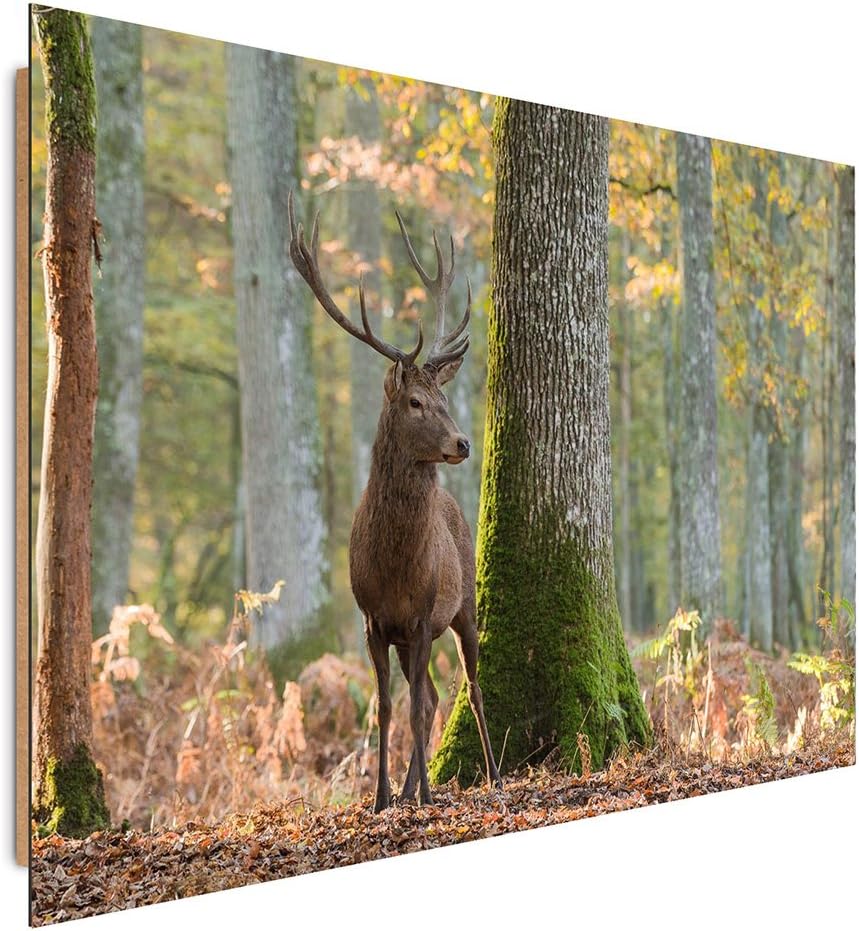 Feeby. Wandbilder - 1 Teilig- 70x100 cm - Bilder Kunstdrucke Deko Panel, HIRSCH, NATUR, BRAUN, 70x10