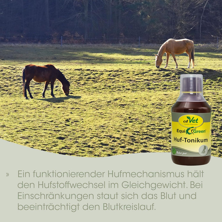 EquiGreen Huftonikum 250 ml Single, 250 ml Single