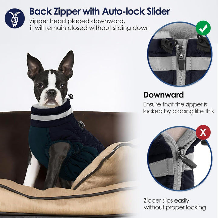 AOFITEE Hundejacke Kleine Hunde, Wasserdicht Hunde Wintermantel Warm Hundemantel mit Geschirr, Rollk