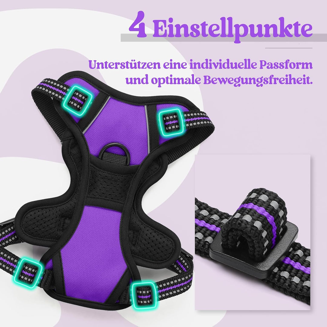 rabbitgoo Hundegeschirr Kleine Hunde, Anti Zug Geschirr mit Kontrolle, No Pull Verstellbar Hundegesc