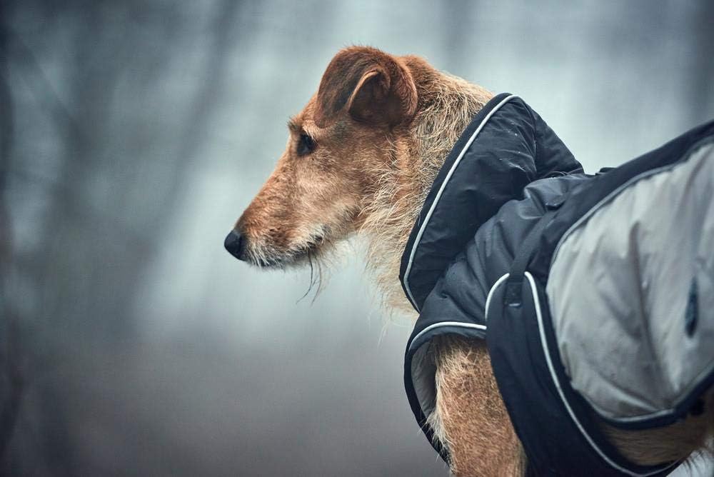 HUNTER UPPSALA EXTREME Hundemantel, Wintermantel, wasserabweisend, reflektierend, 25, schwarz/grau s