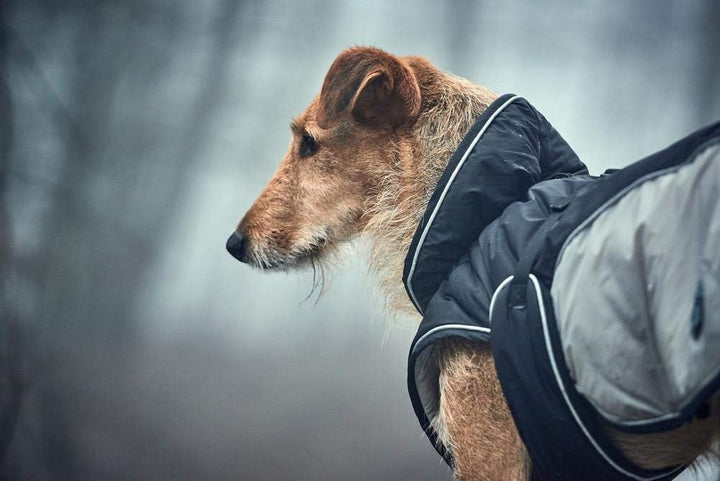 HUNTER UPPSALA EXTREME Hundemantel, Wintermantel, wasserabweisend, reflektierend, 25, schwarz/grau s
