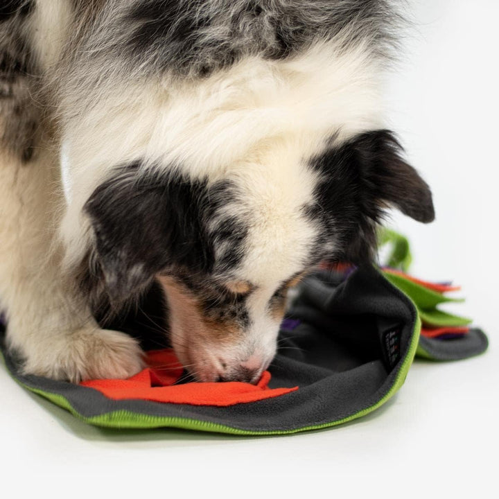 KNAUDERS Best Sniffpad Happy - Spannende Variations-Spiele von Knauder&