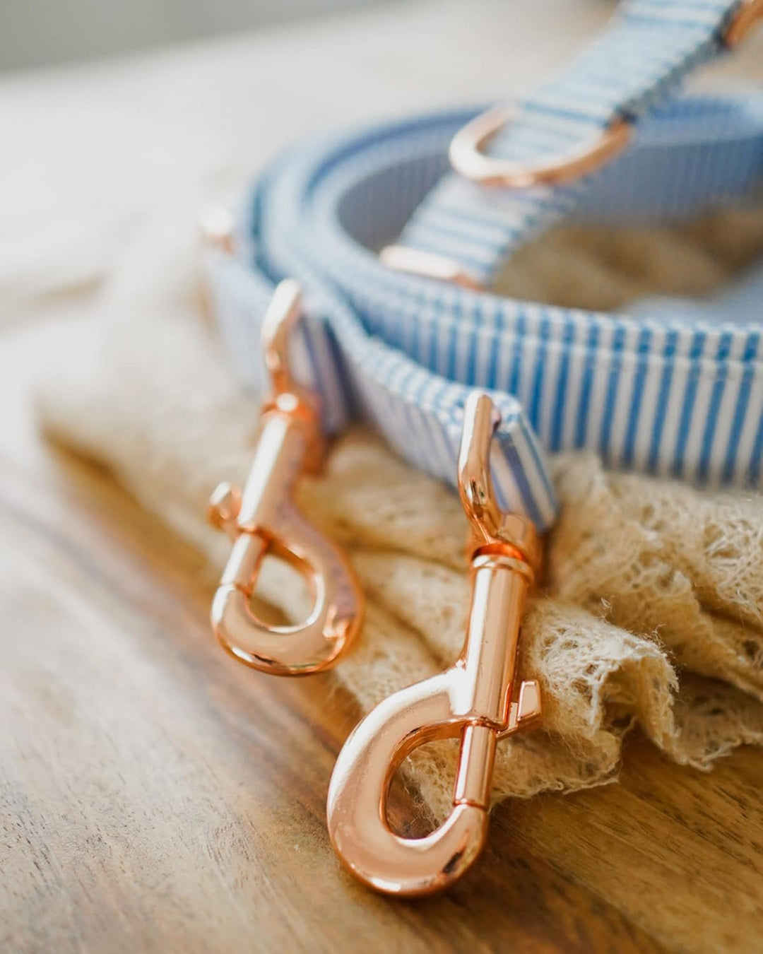 FREUDENTIER® Hundehalsband & Hundeleine aus Canvas im Set - 2m lang & 3-Fach verstellbar - Lighthous