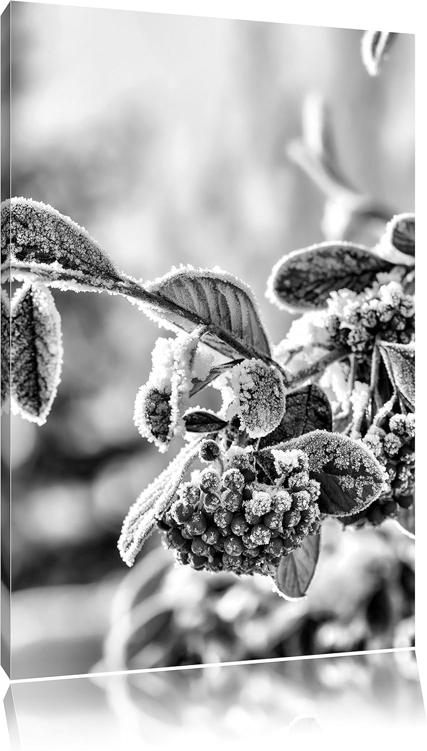 Pixxprint Vogelbeeren im Winter als Leinwandbild/Grösse: 100x70 / Wandbild/Kunstdruck/fertig bespann