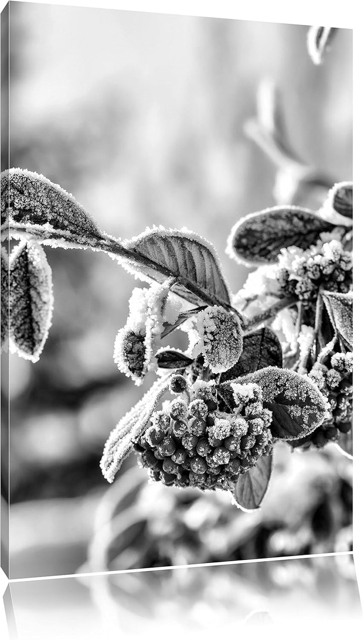 Pixxprint Vogelbeeren im Winter als Leinwandbild/Grösse: 100x70 / Wandbild/Kunstdruck/fertig bespann