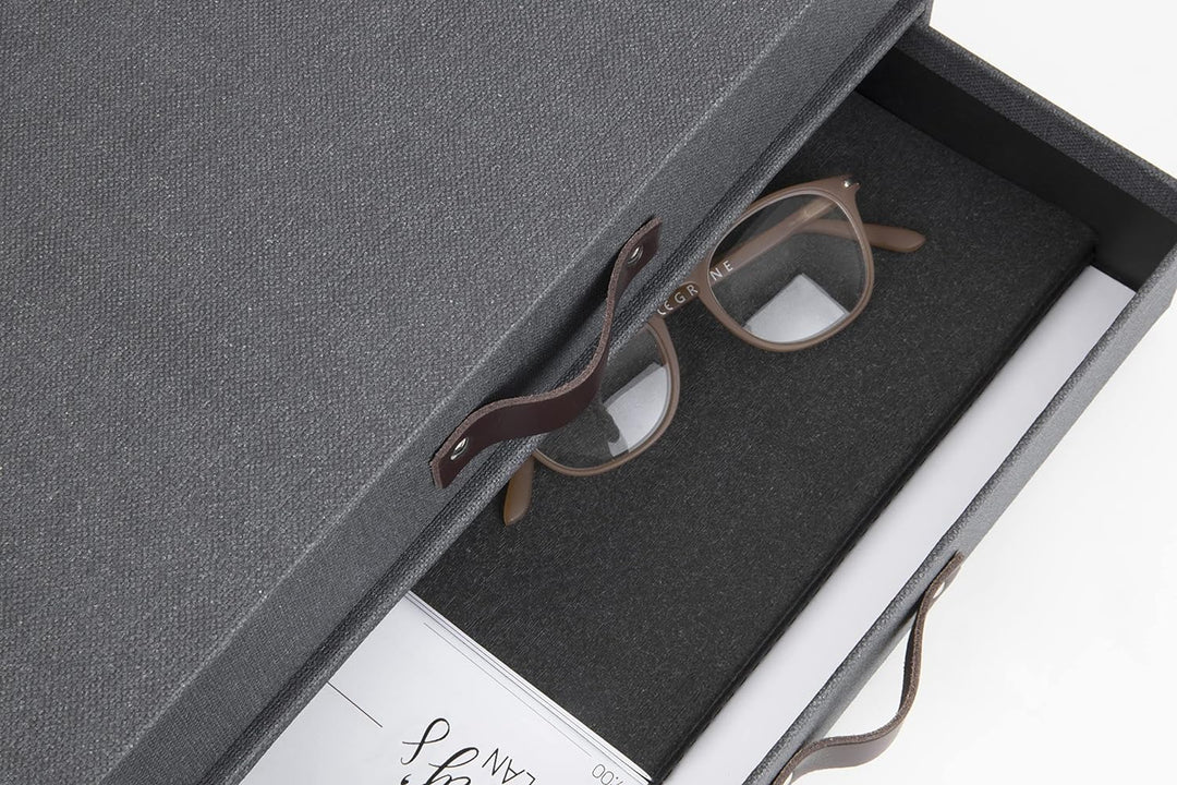 Bigso Box of Sweden Mini-Kommode für Dokumente und Büromaterial – Schreibtisch-Organizer mit 2 Schub