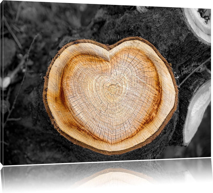 Pixxprint Jahresringe am Baumstamm / 100x70cm Leinwandbild bespannt auf Holzrahmen/Wandbild Kunstdru