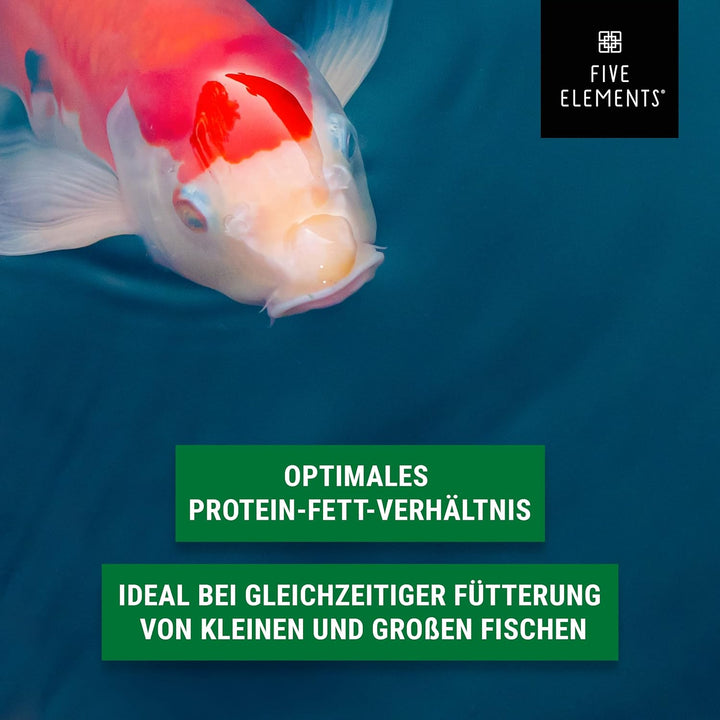 FIVE ELEMENTS® Koi Sink Plus | 1,4 kg | optimal als Frühjahrsfutter | sinkendes Koi-Futter | hochwer