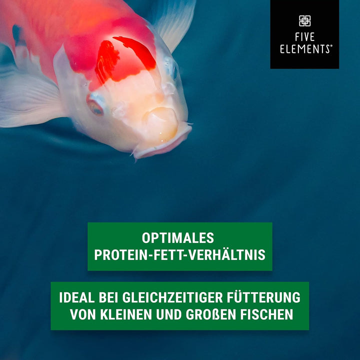 FIVE ELEMENTS® Koi Sink Plus | 9,0 kg | optimal für Herbst und Winter | sinkendes Koi-Futter | ideal