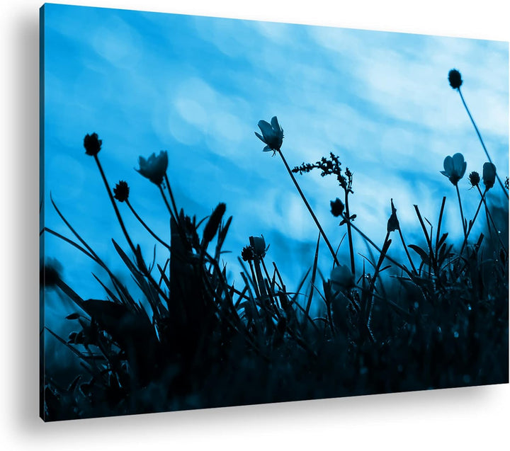 deyoli Sonnenuntergang mit schöner Wiese Format 100x70 Effekt: Monocrome Blau als Leinwandbild, Moti