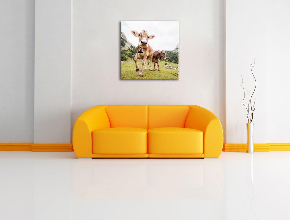 Almkuh auf der Weide, Format: 70x70 auf Leinwand, XXL riesige Bilder fertig gerahmt mit Keilrahmen,
