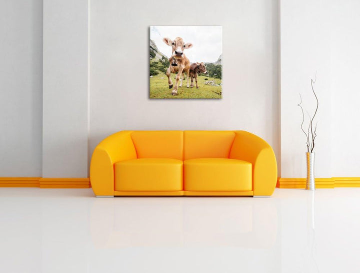 Almkuh auf der Weide, Format: 70x70 auf Leinwand, XXL riesige Bilder fertig gerahmt mit Keilrahmen,