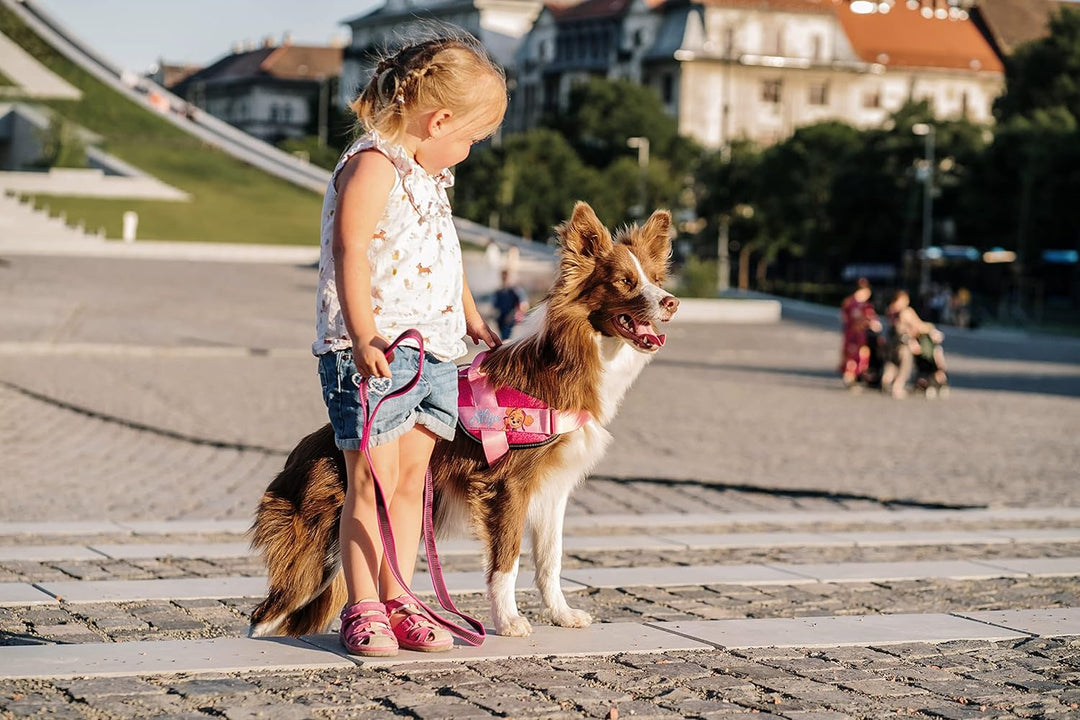 JK9 Paw Patrol Hundegeschirr, Grösse: L/1, Skye Skye L/1, Skye L/1