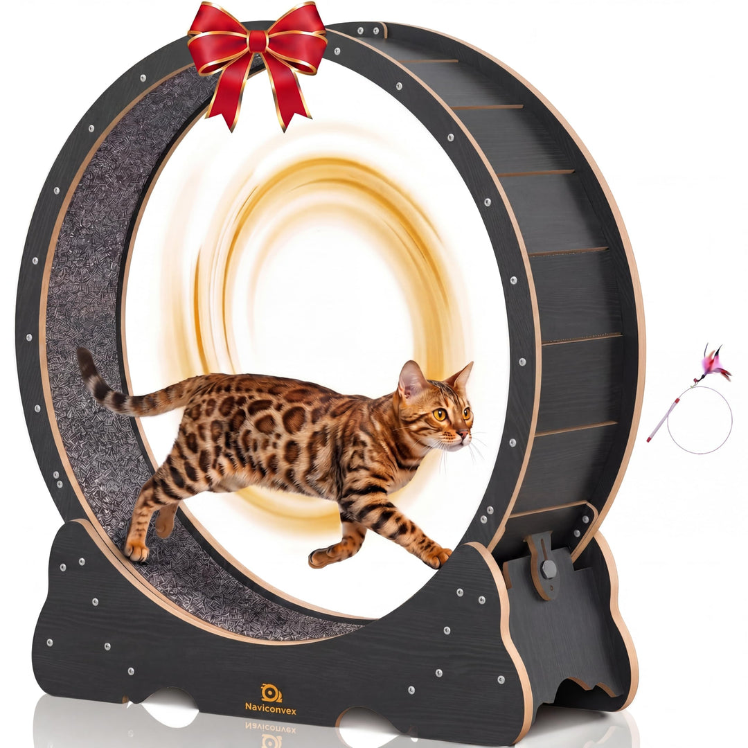 Katzenlaufrad XXL Durchmesser 135cm Gross laufrad Katze Super Leise Katzen Laufrad mit abnehmbarem T