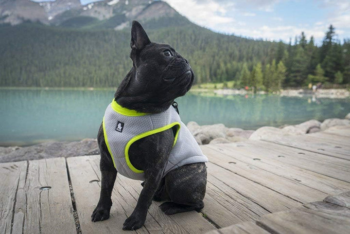 MOKCCI Truelove Hund Kühlende Weste Geschirr Kühler Jacke mit Verstellbare Reissverschluss für Outdo