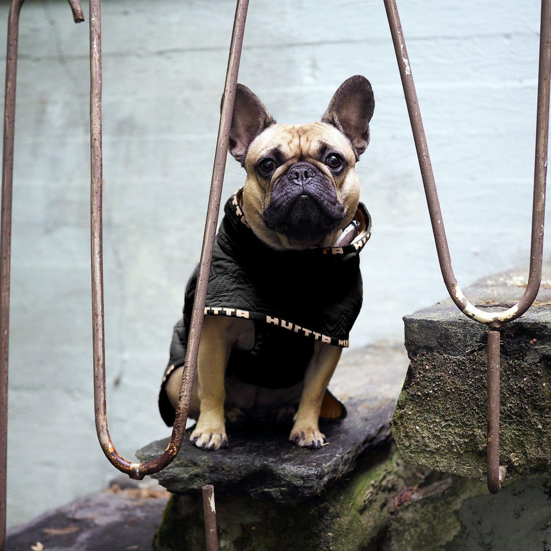 Hurtta Lässige Steppjacke für Hunde, meliert, Grösse 26XL Heather 26XL, Heather 26XL