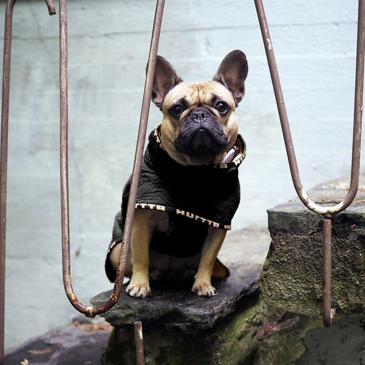 Hurtta Lässige Steppjacke für Hunde, meliert, Grösse 26XL Heather 26XL, Heather 26XL