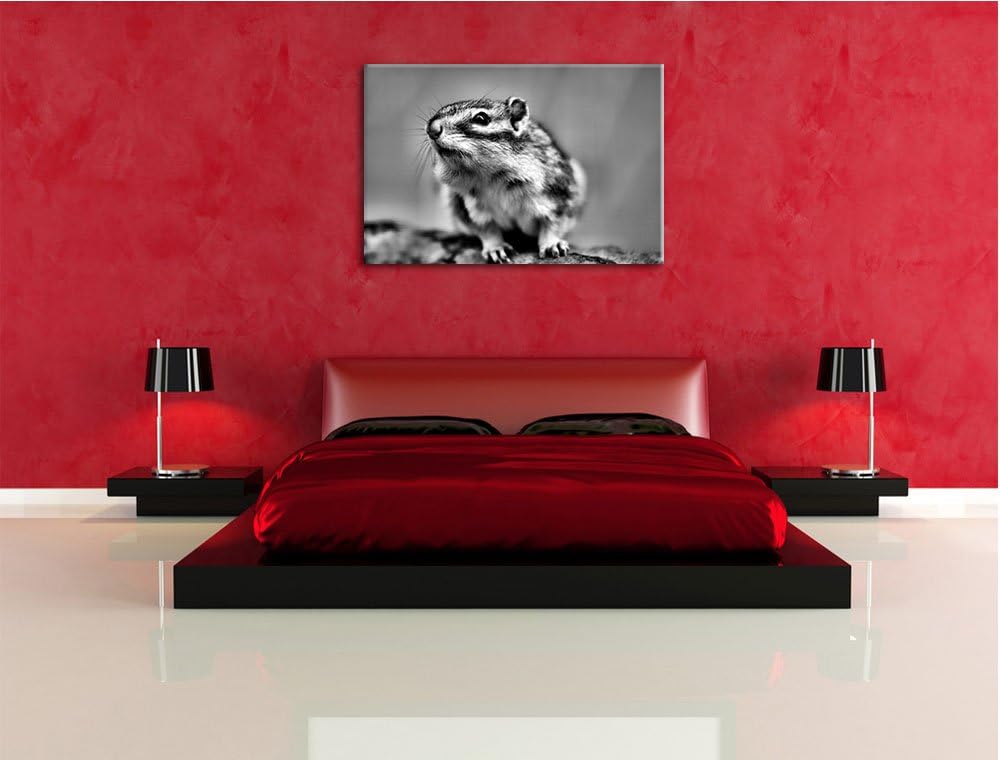 Pixxprint niedliches Streifenhörnchen als Leinwandbild/Grösse: 100x70 / Wandbild/Kunstdruck/fertig b
