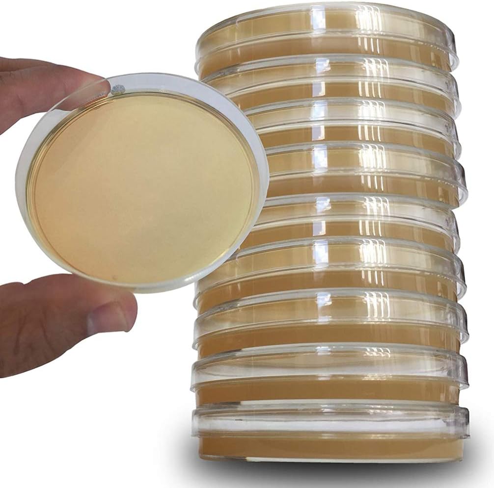 iplusmile Agar Platten Prepoured R2A Agar Platten mit Einweg Vakuum Verpackung Wissenschaft Experime