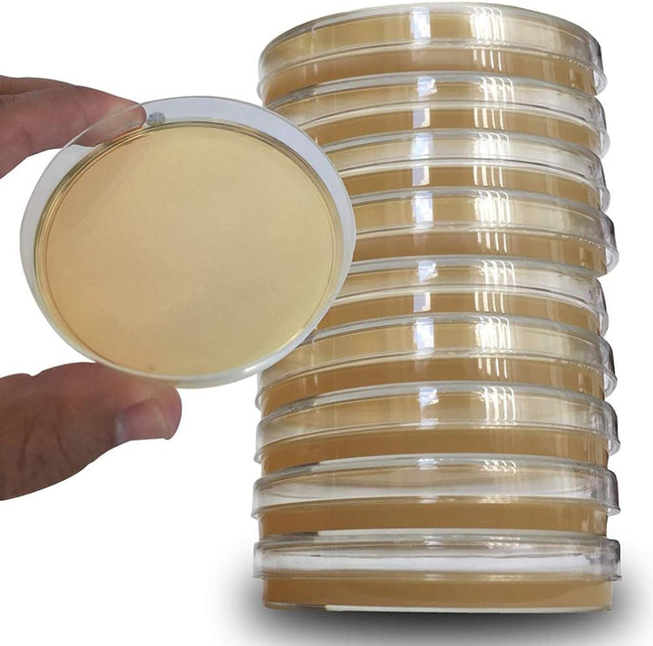 iplusmile Agar Platten Prepoured R2A Agar Platten mit Einweg Vakuum Verpackung Wissenschaft Experime