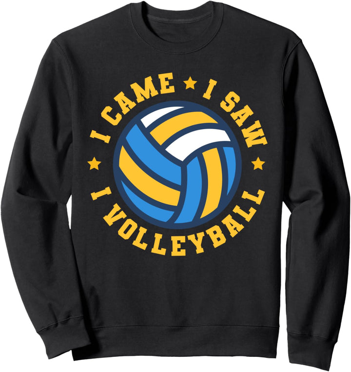 Volleyballer Volleyballspieler - I Came I Saw I Volleyball Sweatshirt