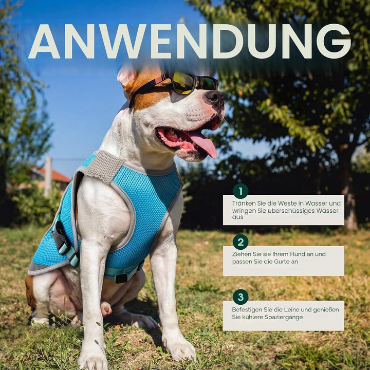 Kuoser Kühlmantel Hund, Kühlweste für Hunde mit Verstellbarer Brustschnalle &amp; D-Ring, Atmungsaktive