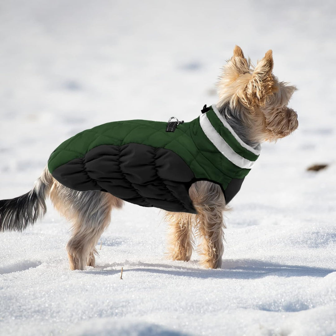 Hundemantel Winter,Hundemantel Grosse Hunde,Hundejacke mit Geschirr, Wasserdicht Wintermantel Hund m