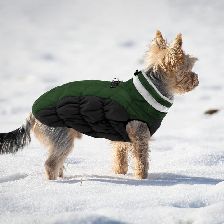 Hundemantel Winter,Hundemantel Grosse Hunde,Hundejacke mit Geschirr, Wasserdicht Wintermantel Hund m
