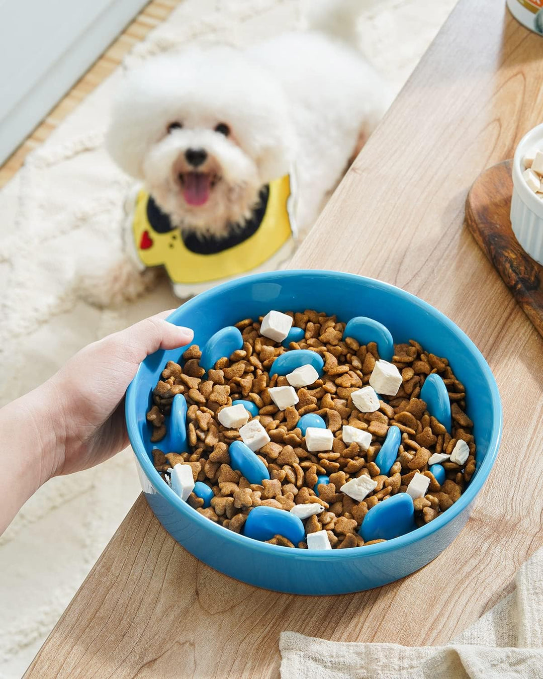 LE TAUCI Hundenapf aus Keramik, Antischlingnapf für Mittelgrosse und Kleine Hunde, Langsam Fressen u