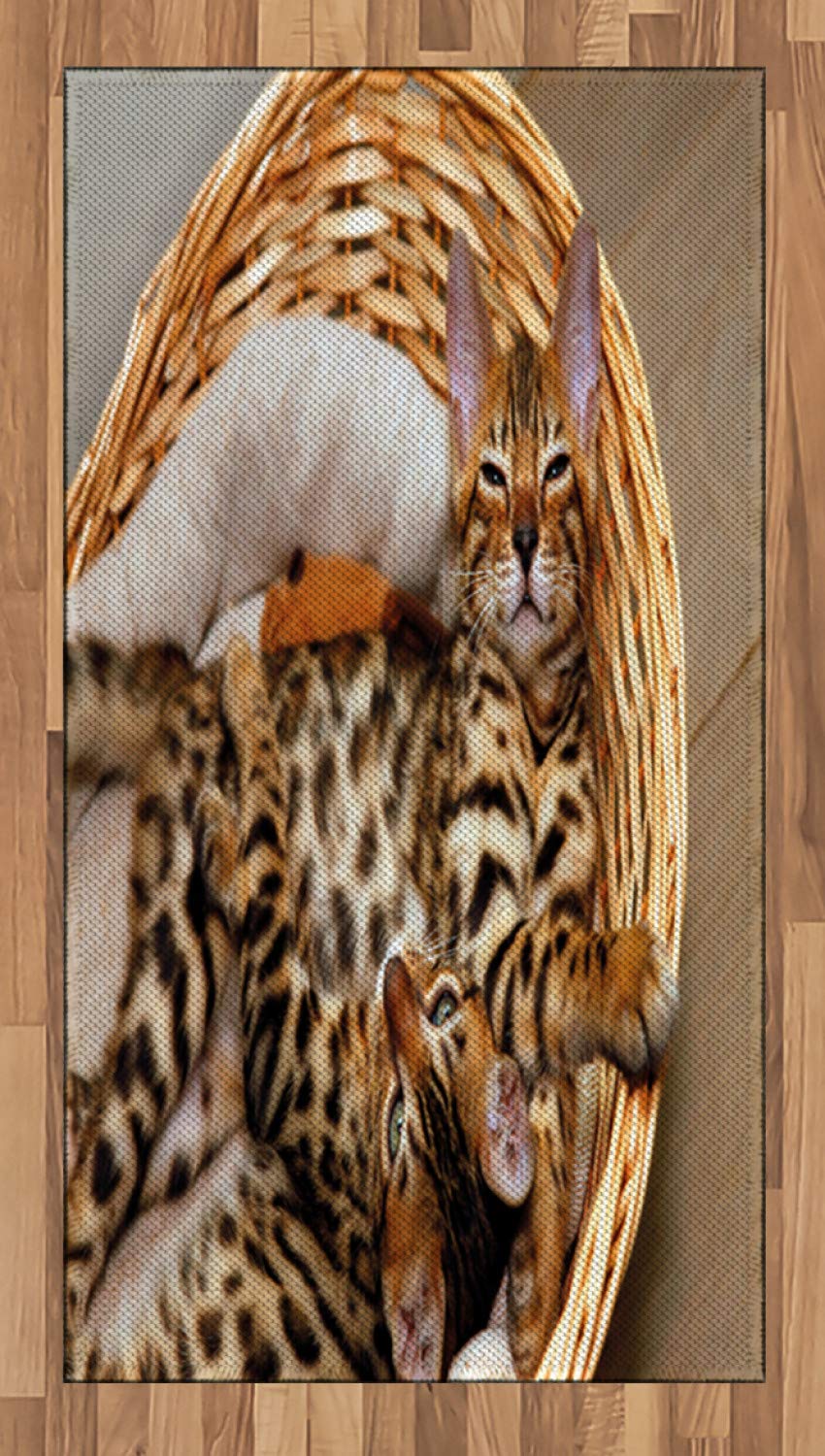 ABAKUHAUS Kätzchen Teppich, Bengalkatzen im Korb, Deko-Teppich Digitaldruck, Färben mit langfristige