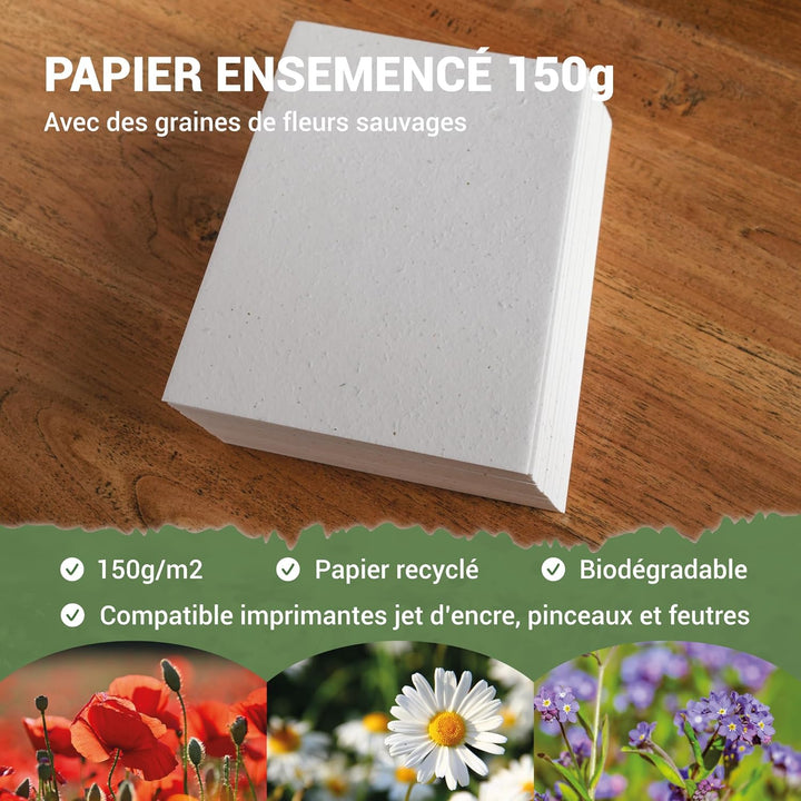 Blooming Seed Paper – 50 Blätter zum Pflanzen – DIN A4 150 g/m² – 21 x 30 cm – Weiss – Blanko – Biol