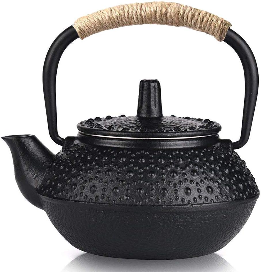 Webao Teekanne aus Gusseisen Traditionelle Eisen-Kanne Tea for ONE Teekanne Japanischer Stil inkl 30