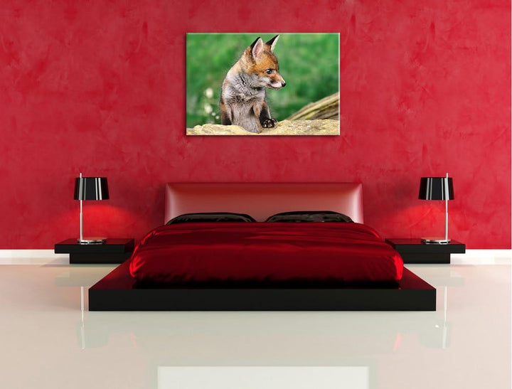 Pixxprint junger Fuchs auf Leinwand, XXL riesige Bilder fertig gerahmt mit Keilrahmen, Kunstdruck au
