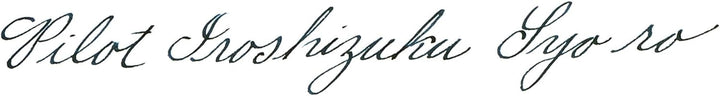 PILOT Iroshizuku 69206 Füllfederhalter-Tinte, Syo-Ro, Tau auf Kiefernbaum (dunkles Türkis), 50 ml Fl