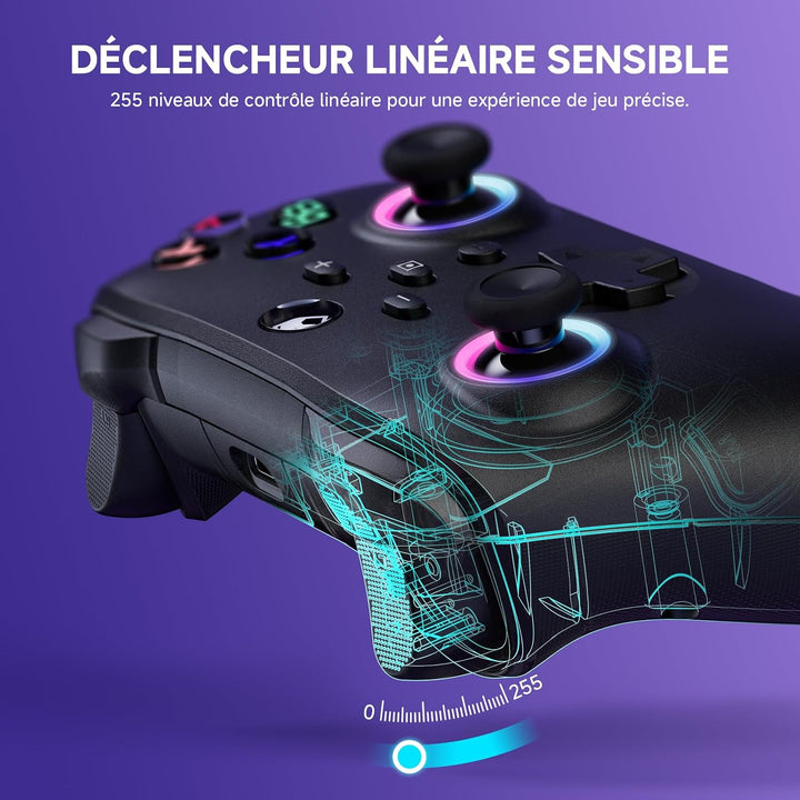 ECHTPower Switch Controller, Switch Pro Controller mit Turbo/Programmbare Taste/Vibration/RGB/6-Achs