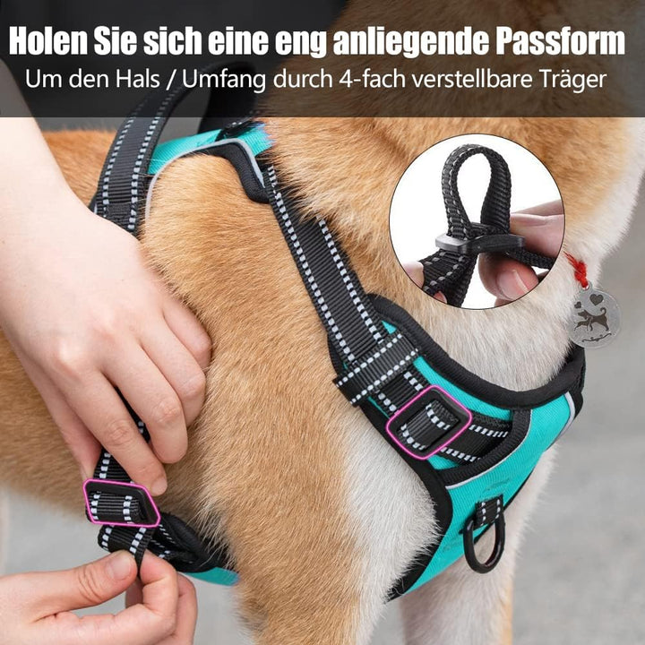 PoyPet No Pull Hundegeschirr, reflektierendes Westengeschirr mit 2 Leinenbefestigungen und einfachem