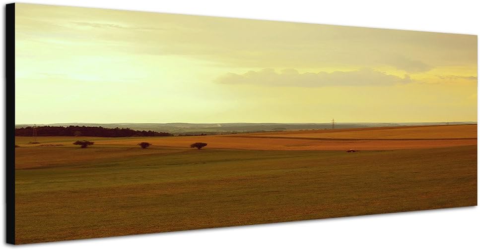 Paul Sinus Art Panoramabild auf Leinwand und Keilrahmen 150x50cm Landschaft Felder Wald Traktor Morg