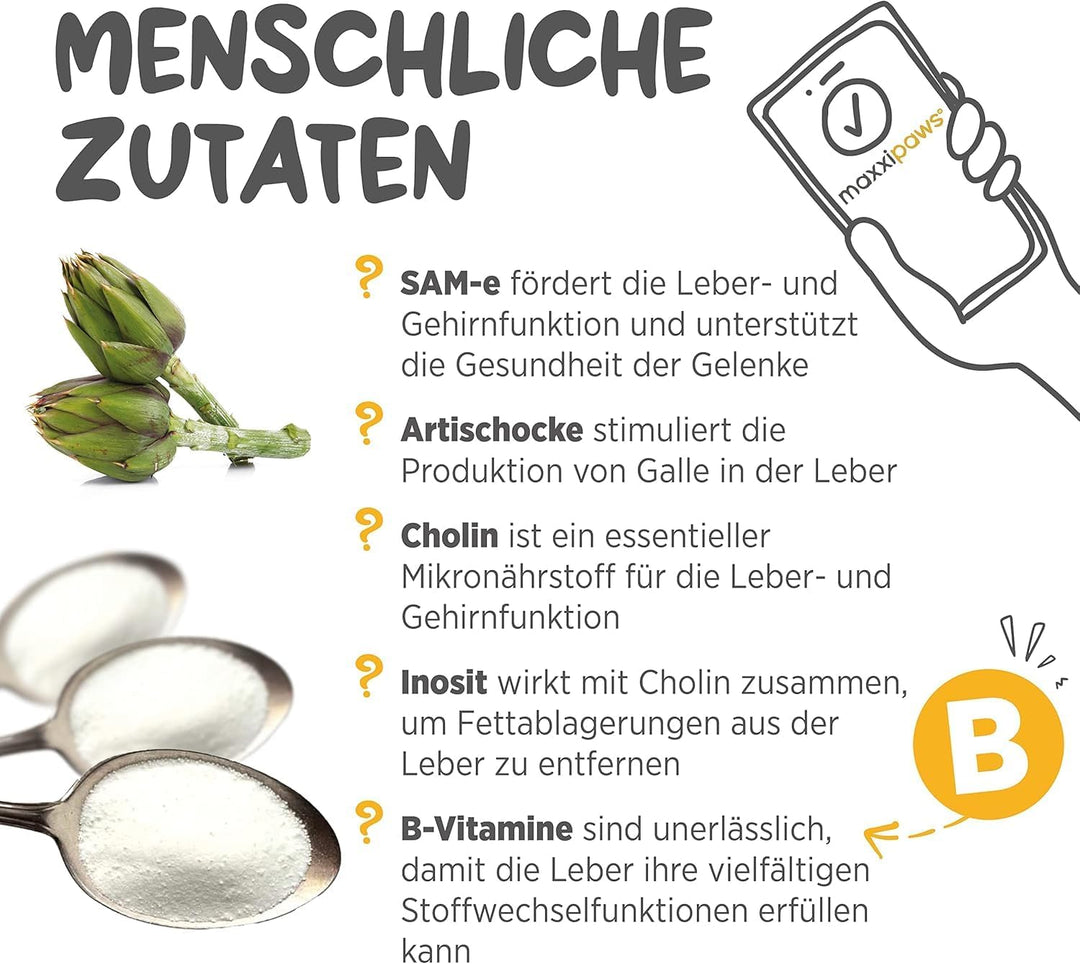 maxxipaws - maxxiSAMe SAM-e Ergänzungsfutter für Hunde -Unterstützung der Leberfunktion & Kognitiver