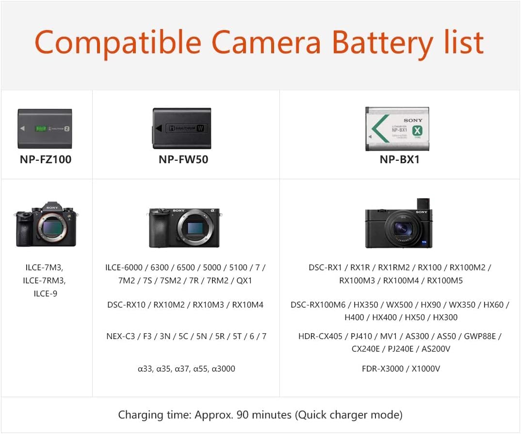 ISDT NP-FZ100 NP-FW50 NP-BX1 Kamera Akku Dual Ladegerät für Sony DSC-RX100,DSC-RX100 II, DSC-RX100M
