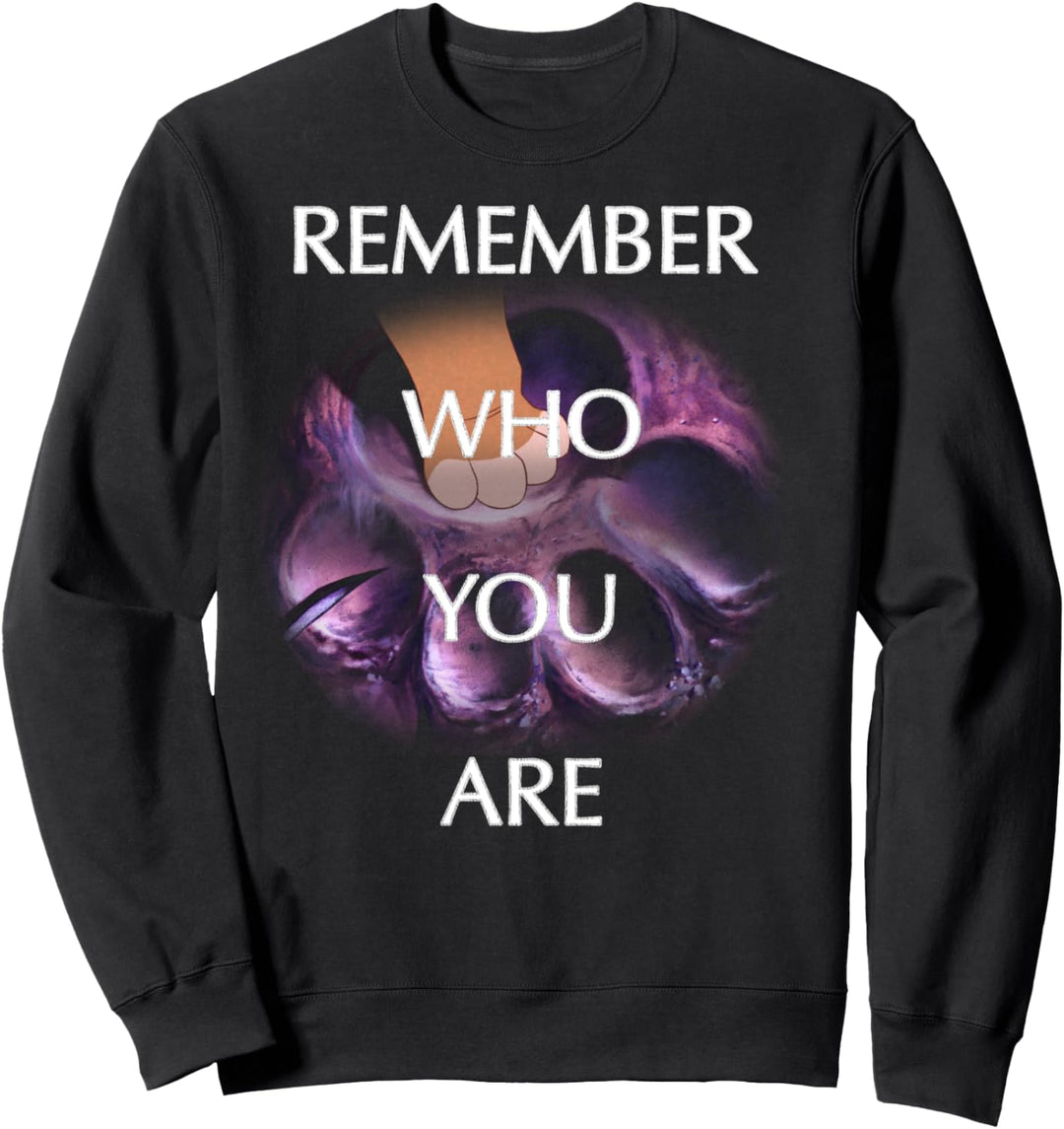 Disney The Lion King Simba Remember Who You Are Overlay Sweatshirt