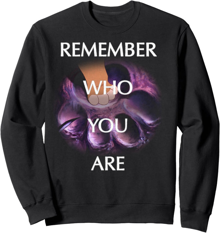 Disney The Lion King Simba Remember Who You Are Overlay Sweatshirt