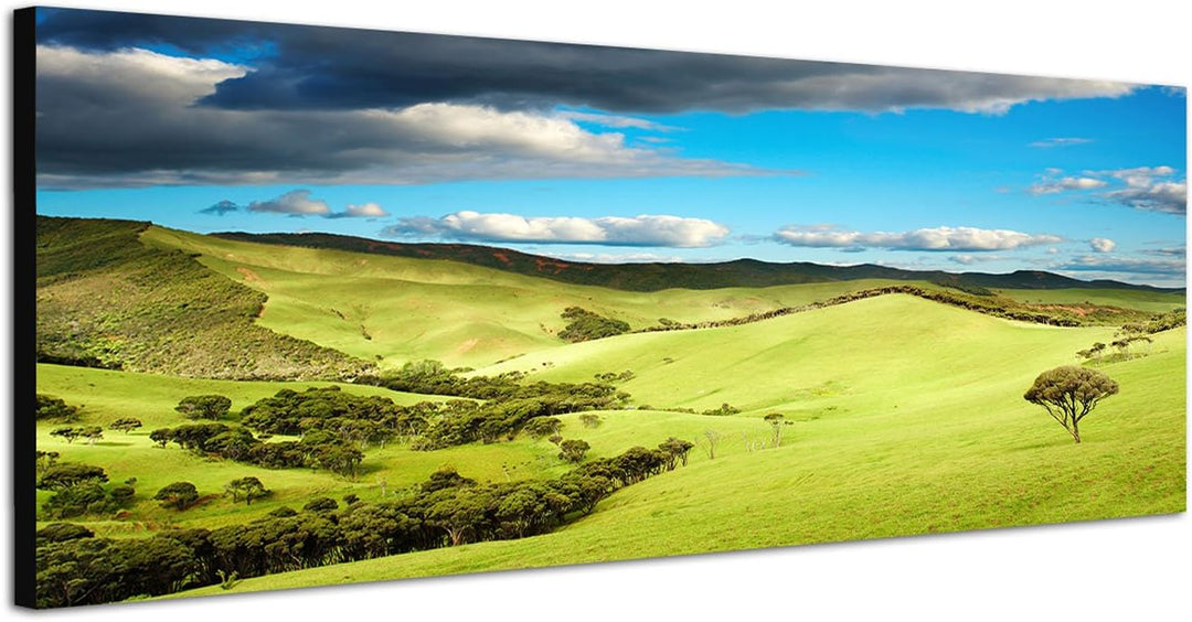 Paul Sinus Art Panoramabild auf Leinwand und Keilrahmen 120x40cm Neuseeland Landschaft Natur