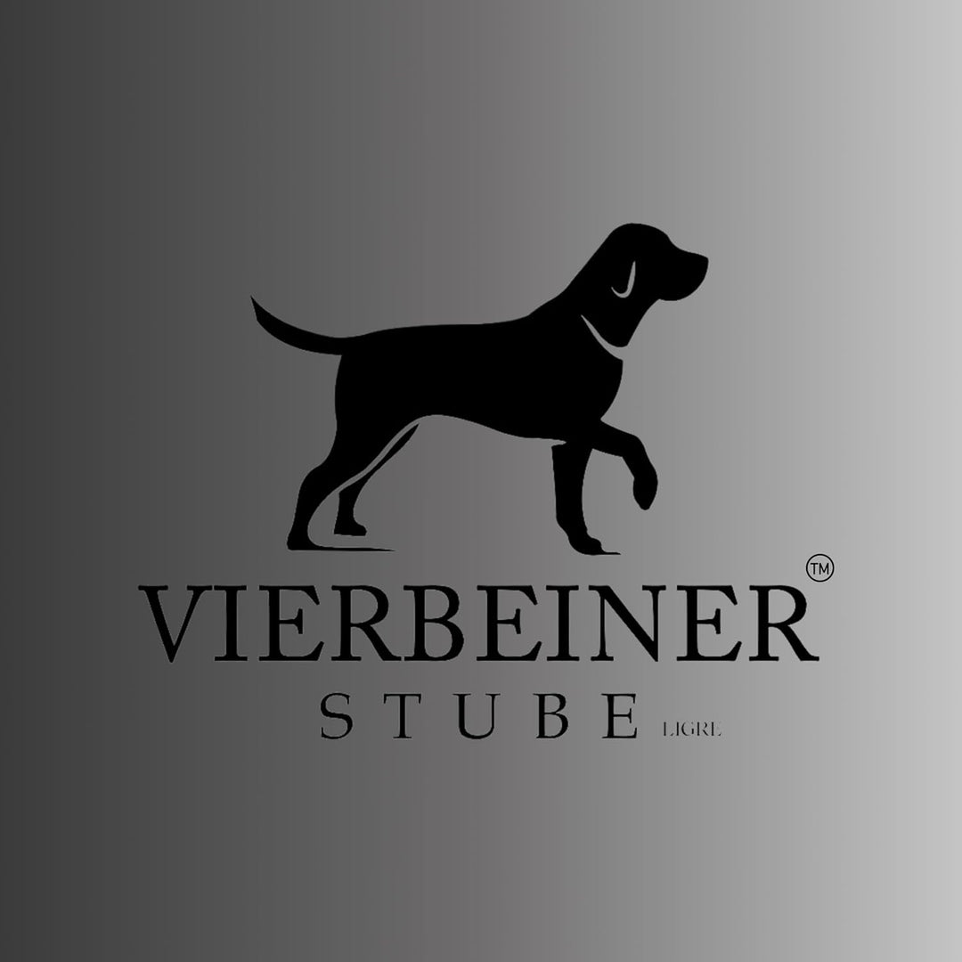 VierbeinerStube Premium Autoschondecke Hundedecke für Rücksitz/Rückbank und Kofferraum – Langlebige