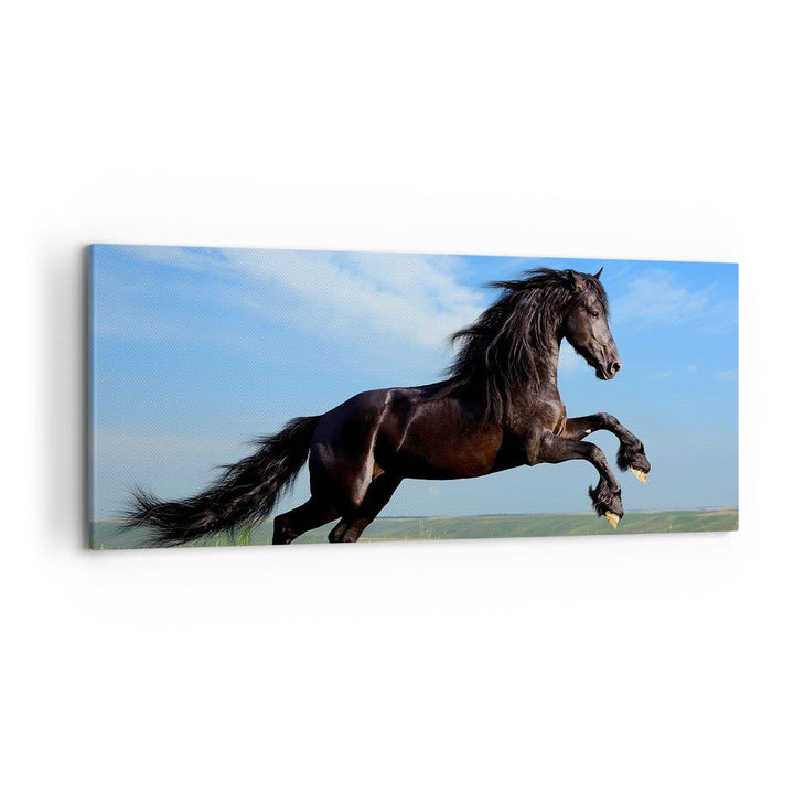 Wandbilder Dekoration Wohnzimmer Schwarzes Pferd Pferd Galopp Panorama Bilder auf Leinwand 120x50cm