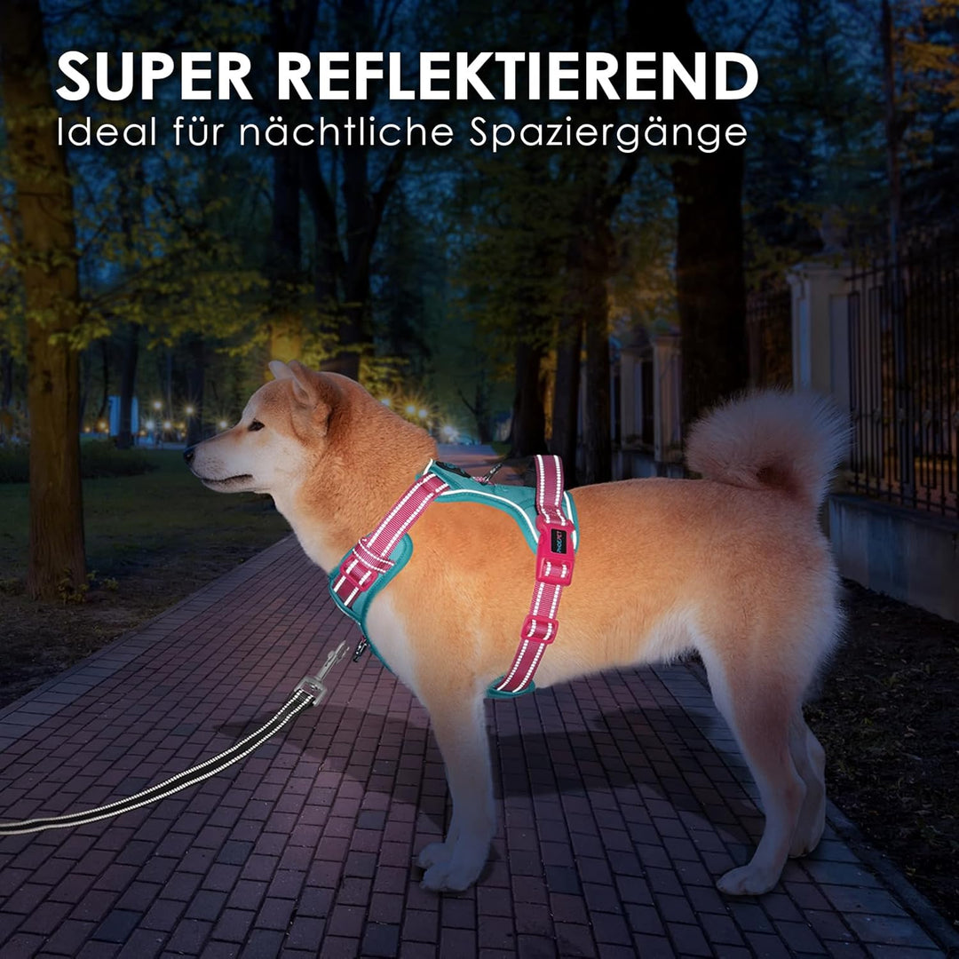 PHOEPET Anti-Zug Hundegeschirr verstellbar mit Reflektoren | Trainingsgriff & Metallclips für alle H