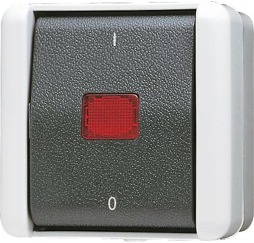 Jung AP-Schalter 802KOW 2polig, 250 V